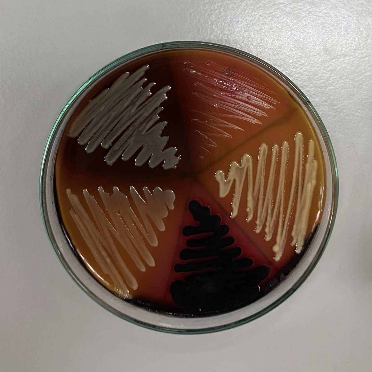 iknowasyouknow's tweet photo. biochem test รอบที่ n https://t.co/0GLFSyJGRw