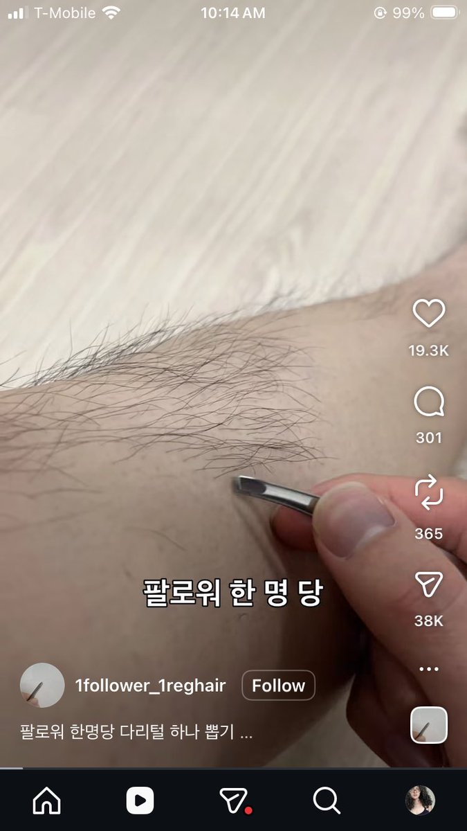 sophie tweet media