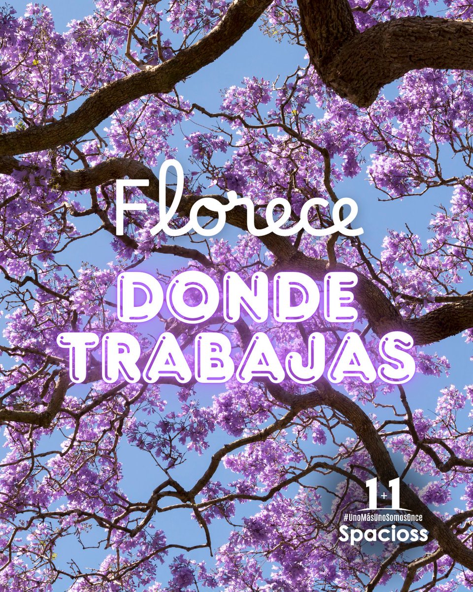 Spacioss tweet media