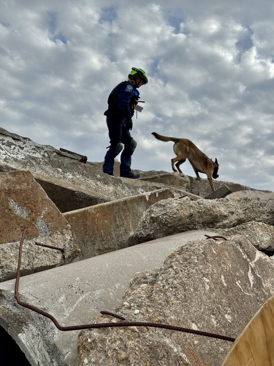 Texas A&M System tweet media