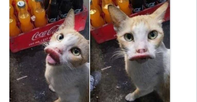 Salim 😏 tweet media