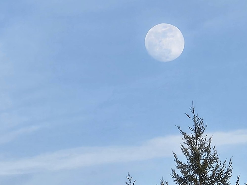 Moonrise last week. #Photography