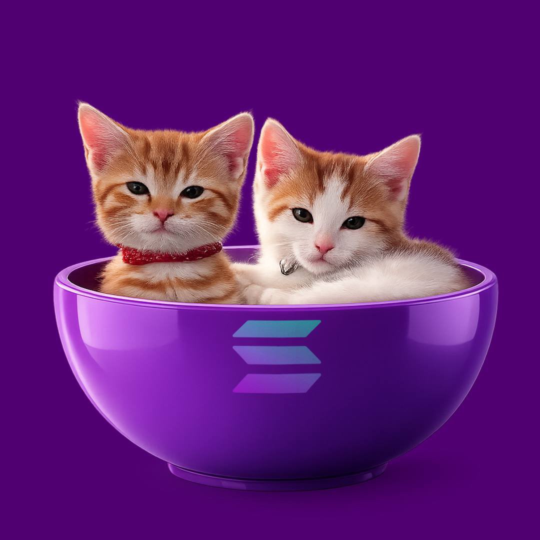 JUST IN: $PEACHPABLO team reports donating $2,500 in fees to the viral TikTok owner through PumFun creator rewards.