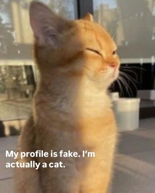 smol silly cat tweet media