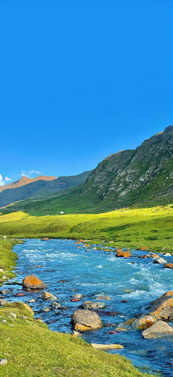 野原娜娜子（互fo咩） tweet media