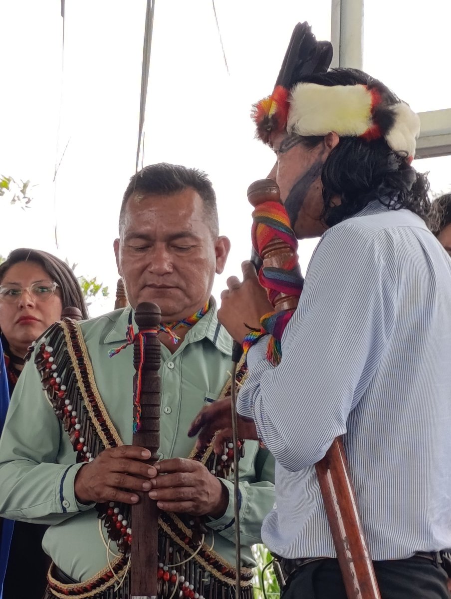 Lanceros Digitales tweet media