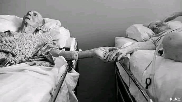 DahaChand's tweet photo. سنو محبت بوڑھی نہیں ہوتی انسان بوڑھے ھو جاتے ہیں دوری بے معنی ھو جاتی ھے محبت جب سوچوں پہ چھا جاتی ھے سنو محبت مٹتی نہیں ھے بڑھتی ھے ہر گزرتے پل قرب کی وصال کی خواہش چاہتی ھے لمس کا احساس جذبوں کو ماند نہیں پڑنے دیتی ﺳﻨﻮ محبت بوڑھی نہیں ہوتی ۔!

،،،،🖤 https://t.co/H6my7emj5s