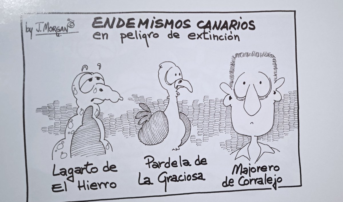 NuhasetPJ 🇮🇨🆑ⵣ ꩜ tweet media