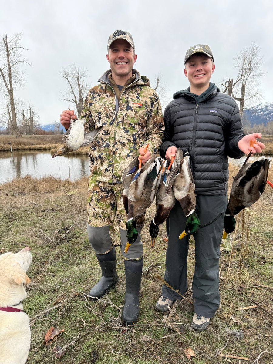 Seth Bodnar tweet media