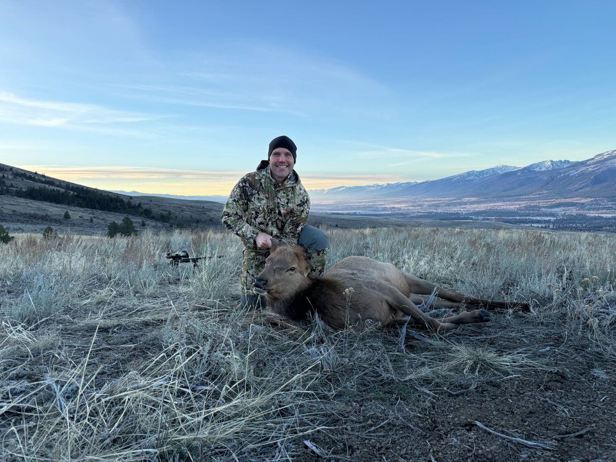 Seth Bodnar tweet media