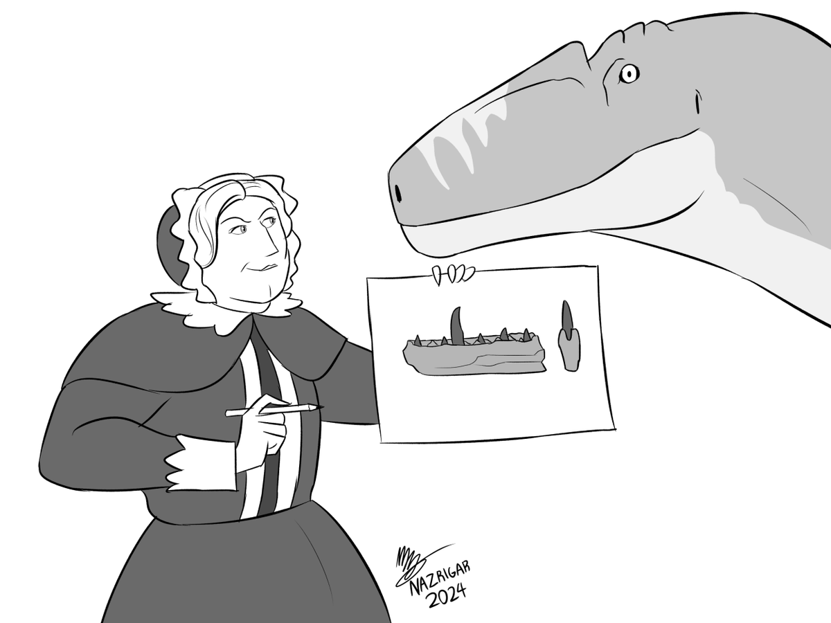 It's past midnight, meaning it's International Women's Day on my end.

Celebrating two Marys of Paleoart, Mary Anning, mother of paleontology as we know it, and Mary Buckland, pioneer of paleoart, the lady who drew Megalosaurus.

#paleoart #InternationalWomensDay2026