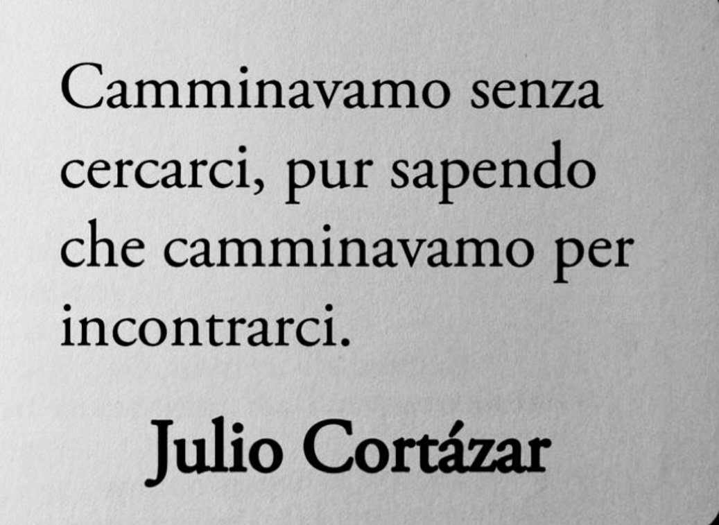 Chat Noir (@chatnoiroui) on Twitter photo 