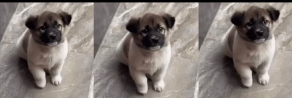 arangotrades's tweet photo. Good morning boys

Banner on Dex has been Updated with Tippy Taps moving just like in the viral video (wont let me tweet the actual video due to the dimensions and low res)

Now its our litte cutie infinite Tippy Tap-ing. https://t.co/qEKjKiJIdj