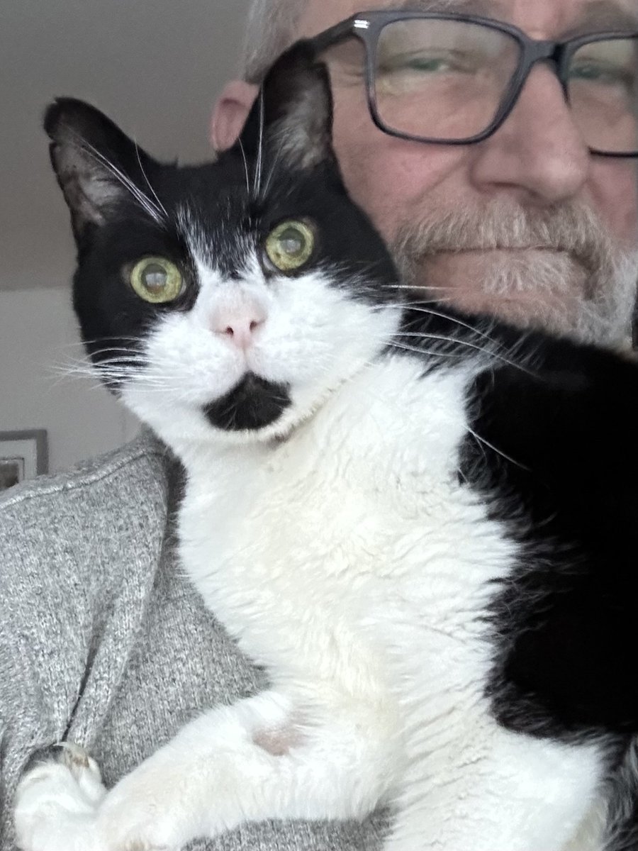 D.V. Catt tweet media