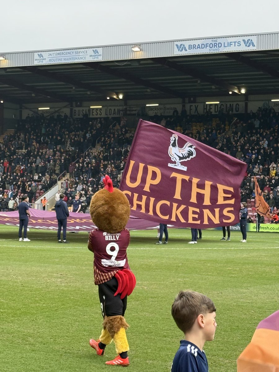 Matt Steer tweet media