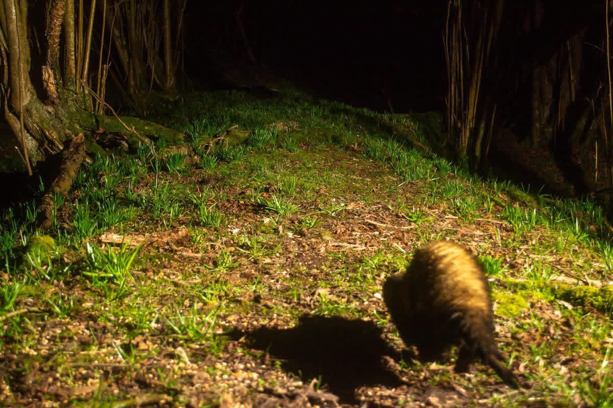 The Stoic Terrierman tweet media