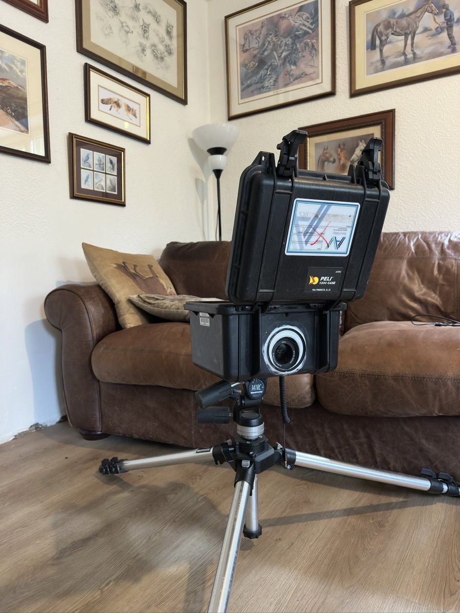 The Stoic Terrierman tweet media