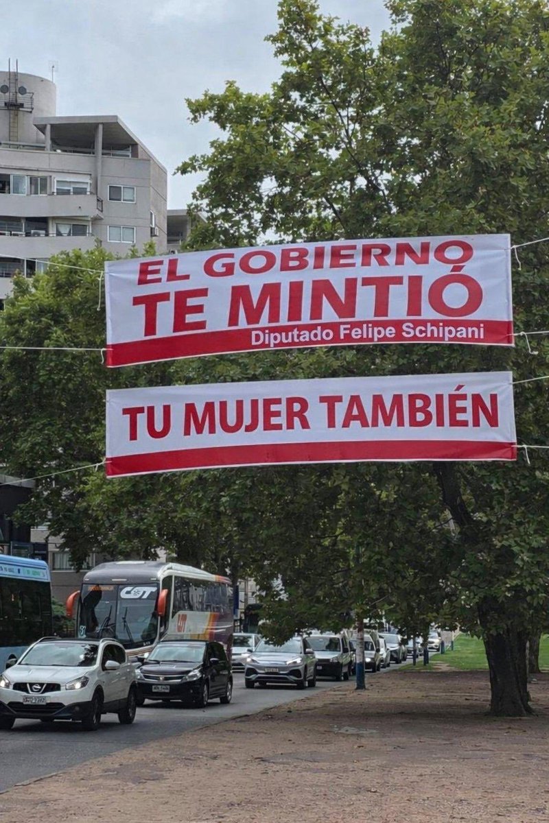 Leopardo Haberkorn tweet media