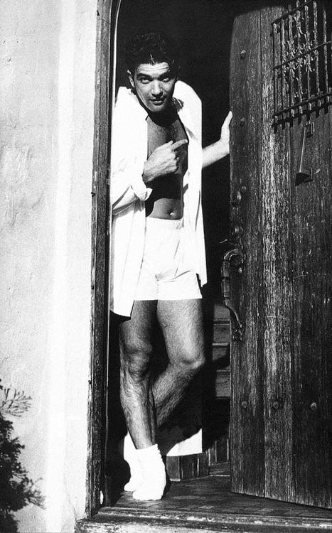 WhiteSockS tweet media