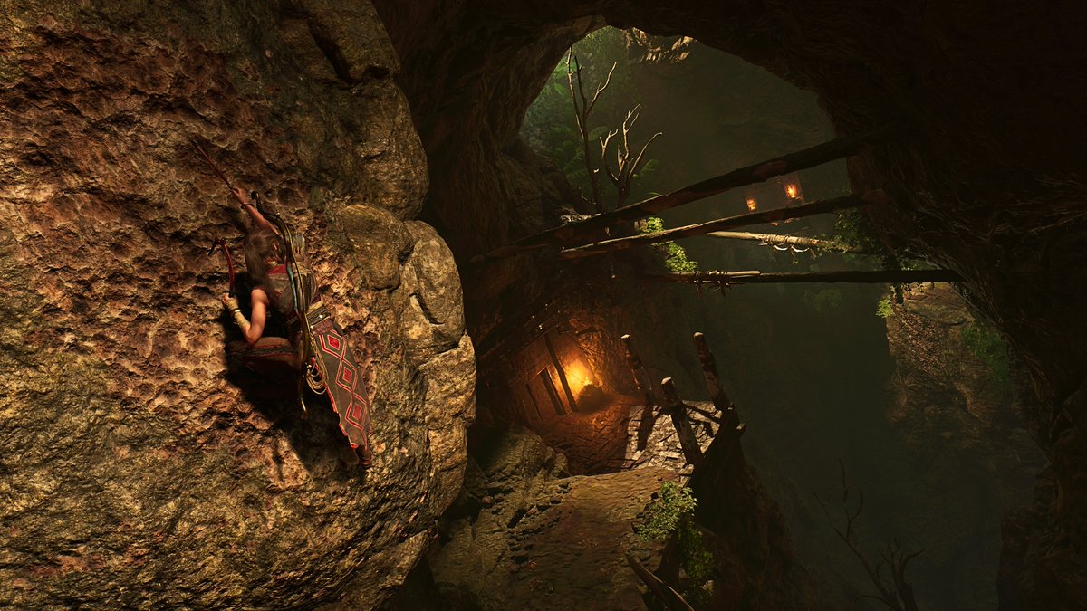 Cuculus 📸 tweet media