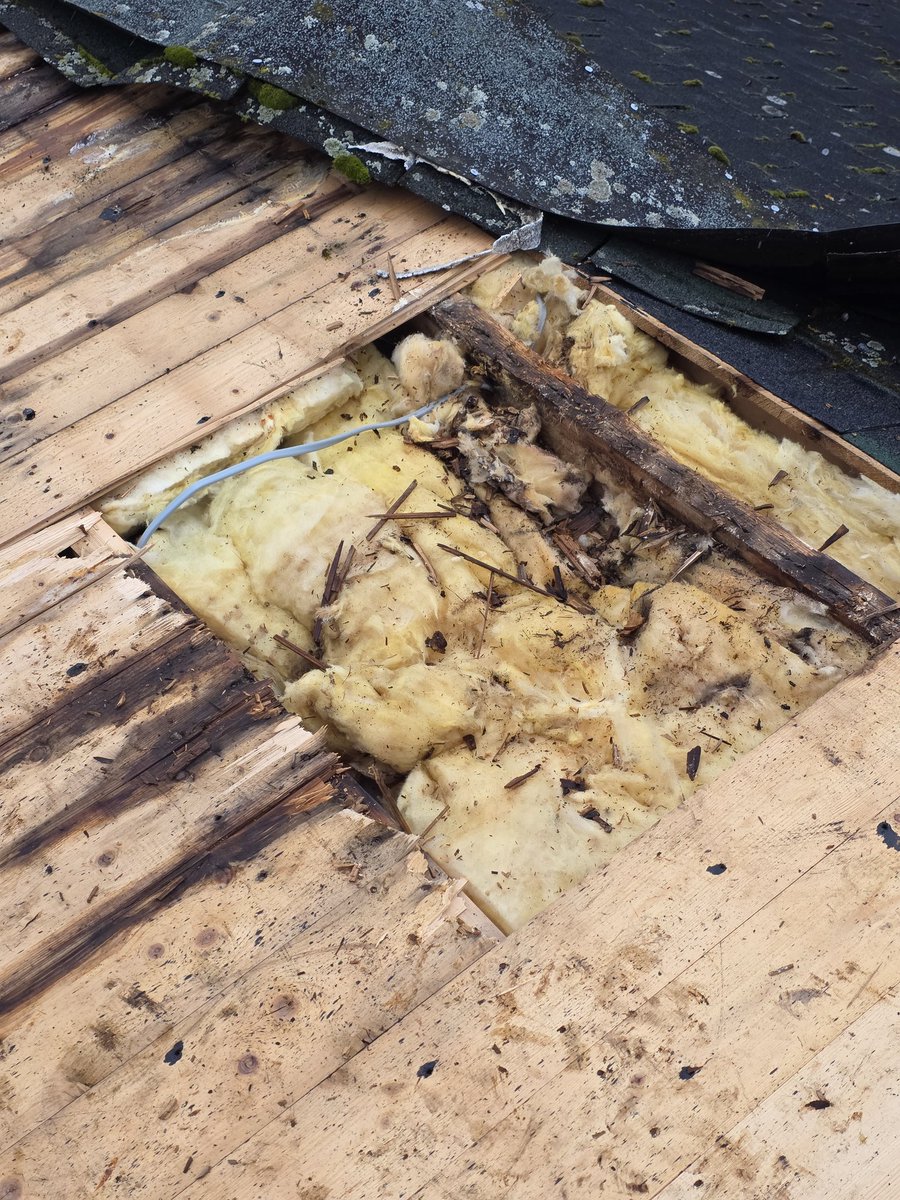 Church Eaton Cricket Club 🏏 tweet media