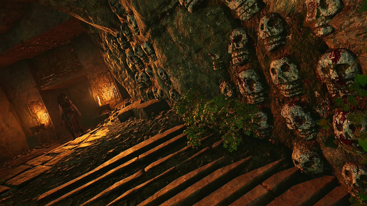 Cuculus 📸 tweet media