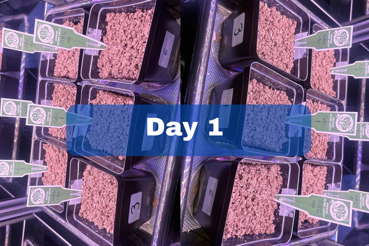 GBECROEM's tweet photo. Day 1! Despite having to restart the trial, we're still giving it our all and with plenty of enthusiasm! https://t.co/x9ZYpek5Sk