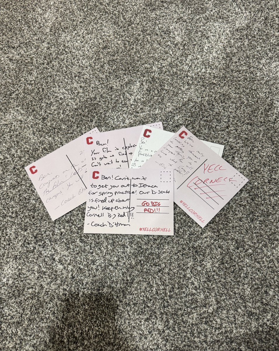 Benjamin - Bergan tweet media