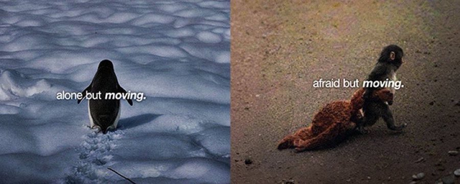 batmansafucalls.eth tweet media