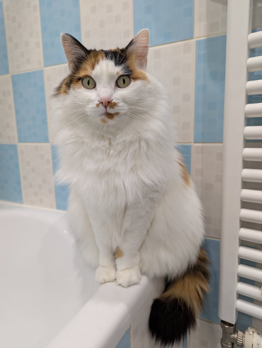 Gaufrette tweet media