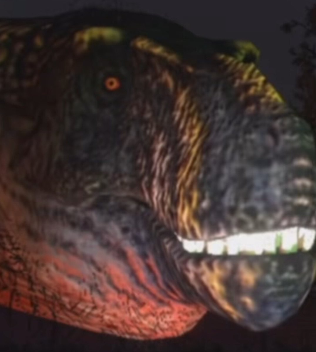 Cine Rollos tweet media