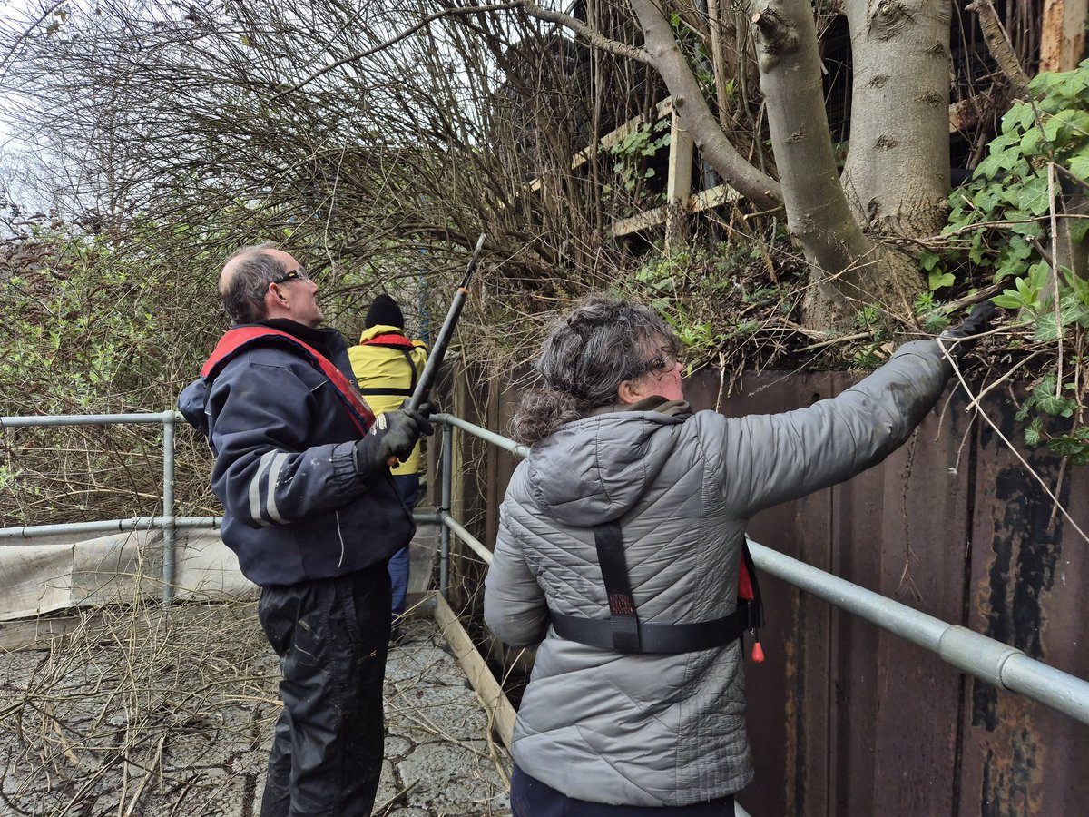 SHFCRTvolunteer's tweet photo. Good Saturday pontoon-based #towpathtaskforce session removing offside buddleia to restore the full navigable width of the canal. We also rescued a floating water-filled fencing base that local numpties had pushed into the canal. @CRTYorkshireNE @CanalRiverTrust #volunteerbywater https://t.co/UUvwd1XhnX
