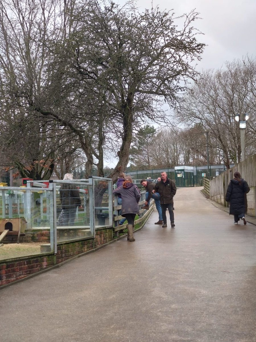 Les Chapman tweet media