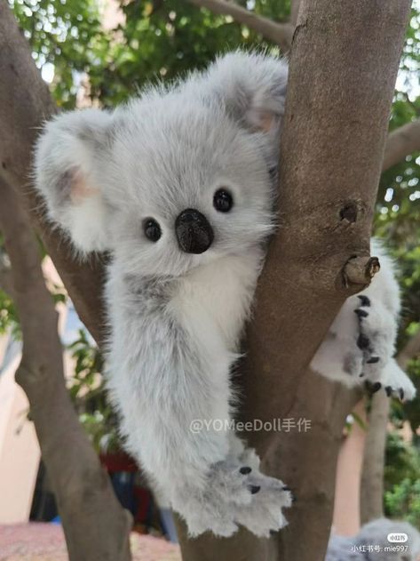 dit is so cutie