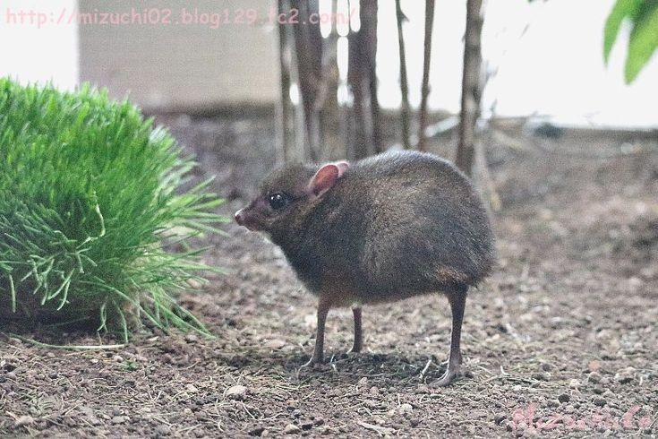 lyna bean tweet media