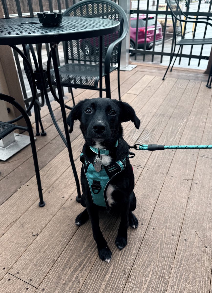 training for his first patio szn 🍻