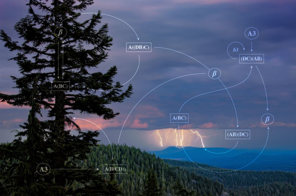 Quanta Magazine tweet media