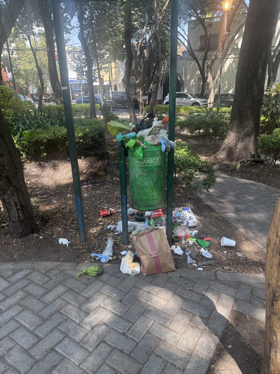 akvalol's tweet photo. @BJAlcaldia increíble el deterioro de la colSanPedrodelosPinos. ParqueMirafloresinfestado de ratas por la basura https://t.co/hp8epLkWsf