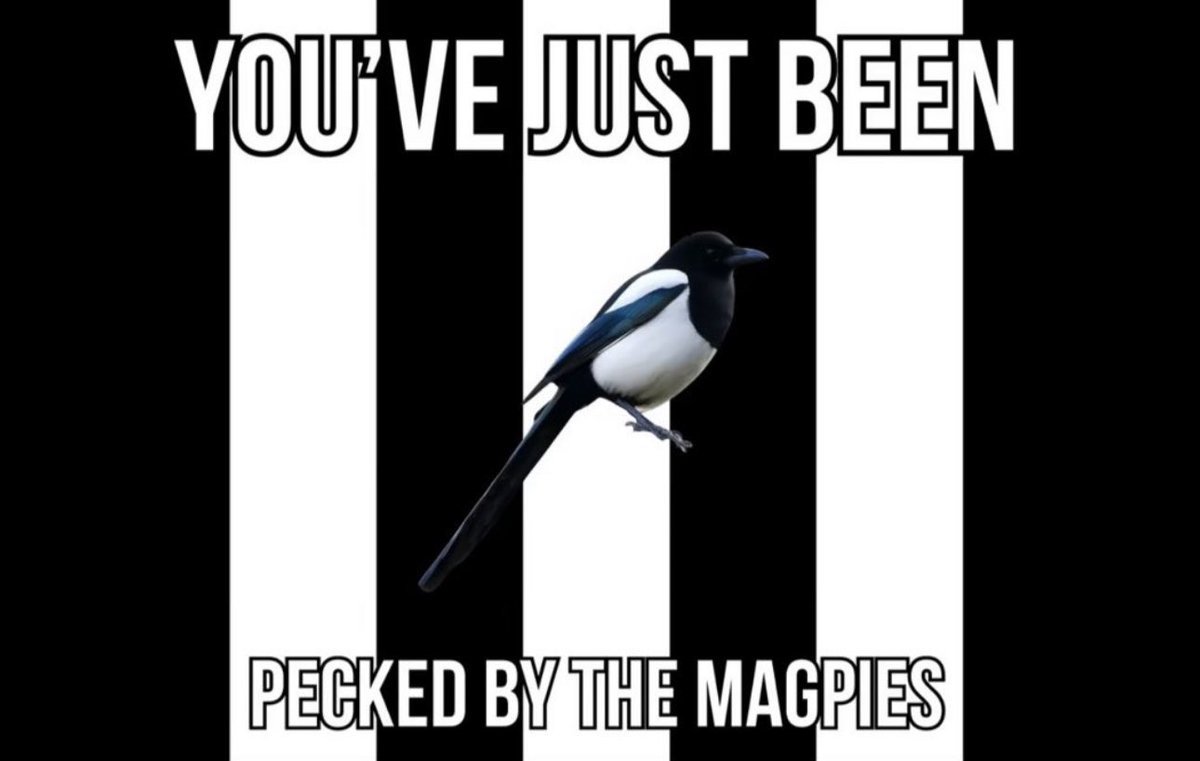 Scott Heaton tweet media