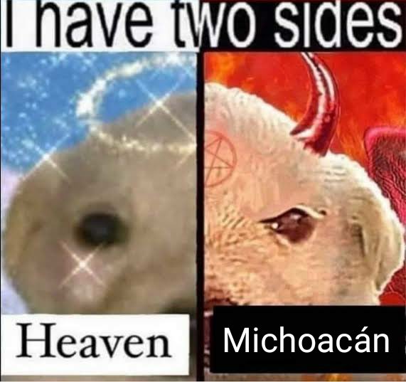 Tainy (+52) tweet media