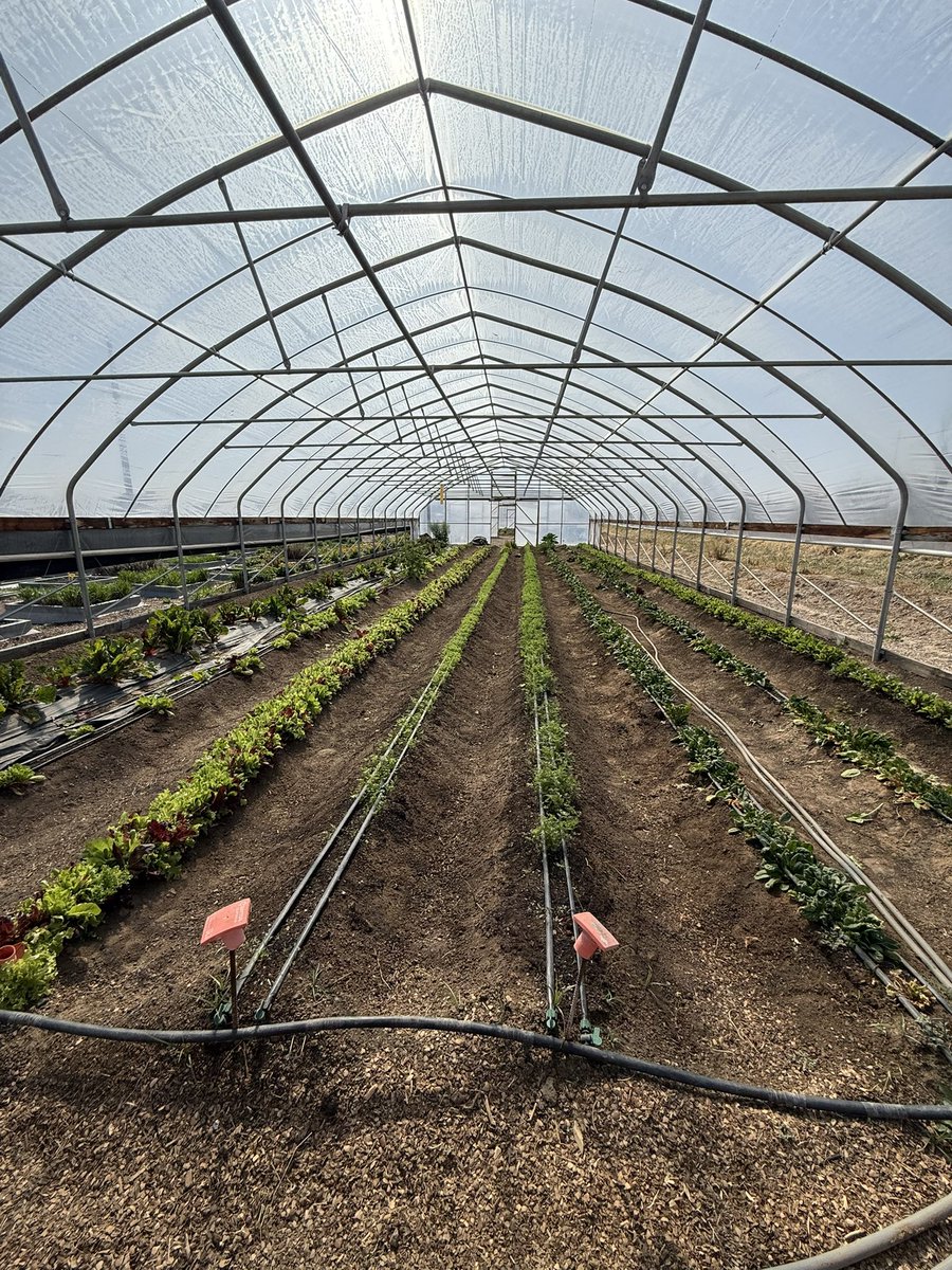 𝐂𝐡𝐚𝐫𝐥𝐞𝐬 𝐄. 𝐆𝐚𝐫𝐜𝐢𝐚, Ed.D. tweet media