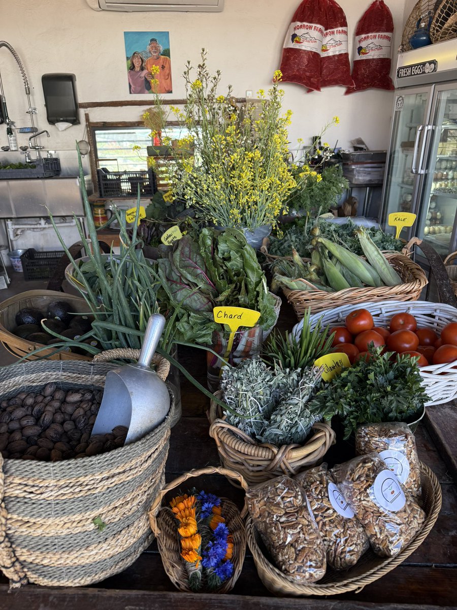 𝐂𝐡𝐚𝐫𝐥𝐞𝐬 𝐄. 𝐆𝐚𝐫𝐜𝐢𝐚, Ed.D. tweet media