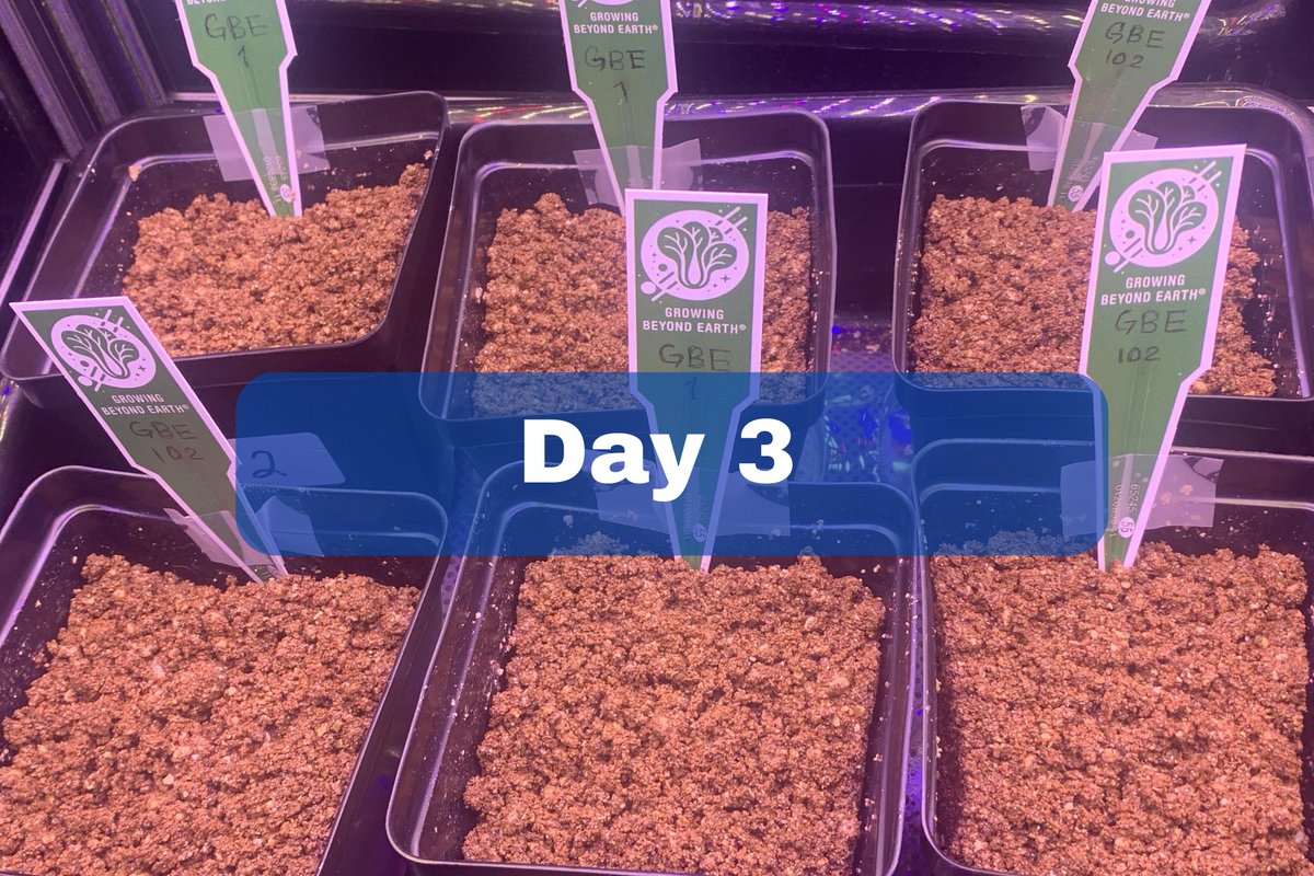 GBECROEM's tweet photo. Day 3! We're pretty optimistic with how our plants will turn out! https://t.co/kr04QlOPYR