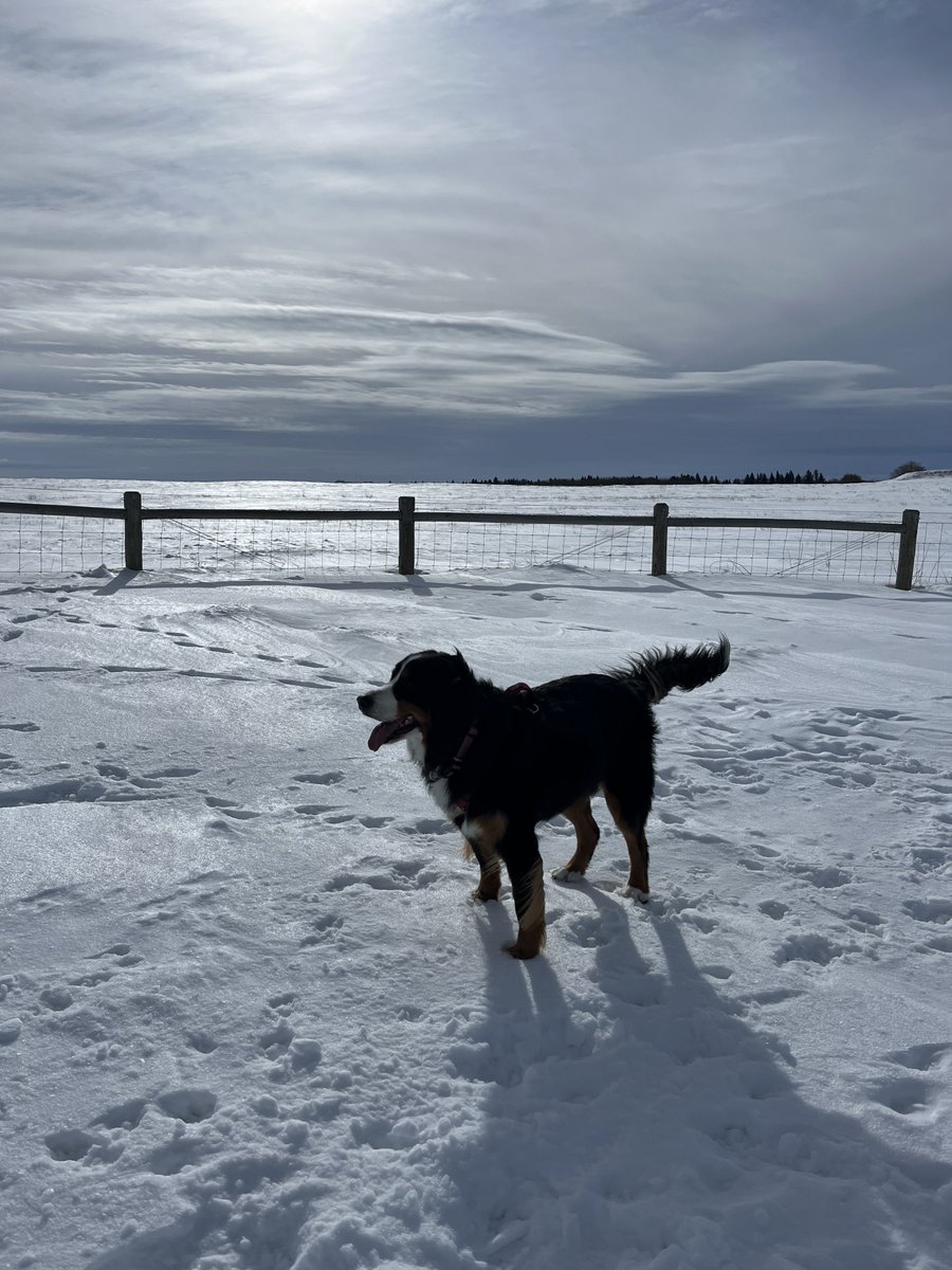 Denene Little tweet media