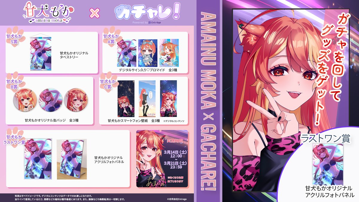 ガチャレ! tweet media