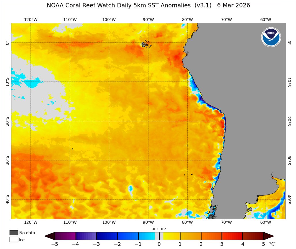 Mario___Ramirez's tweet image. 07/03/26   #ElNiño costero    #Región1+2
#ATSM

#Calentamiento en el Litoral Peruano.