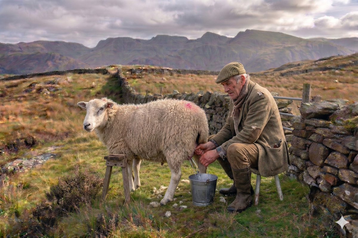 Sama Hoole tweet media