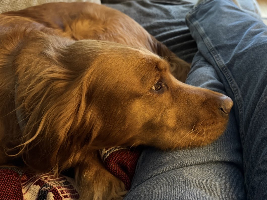 Bryan Marquard tweet media