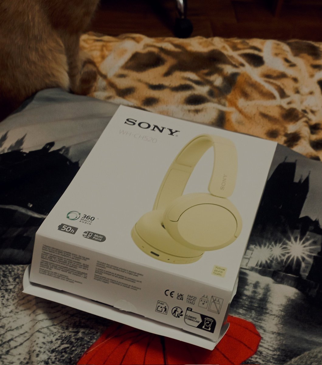 𝚜𝚊𝚗𝚢𝚊 🍋🟩 tweet media