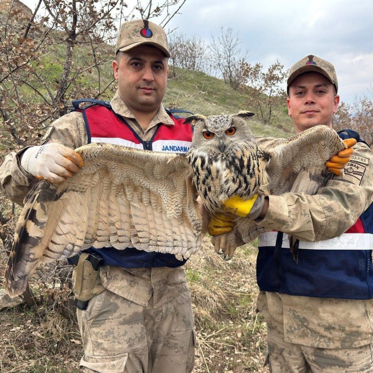 Bu Tag Neden Var tweet media